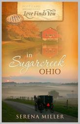 Love Finds You in Sugarcreek, Ohio by Serena B. Miller Paperback Book