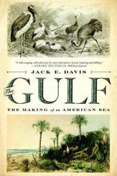 The Gulf: The Making of An American Sea by Jack E. Davis Paperback Book