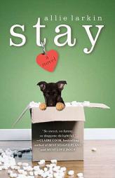 Stay by Allie Larkin Paperback Book