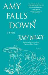 Amy Falls Down: A Novel by Jincy Willett Paperback Book