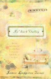 No Dark Valley by Jamie Langston Turner Paperback Book