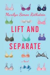 Lift and Separate by Marilyn Simon Rothstein Paperback Book