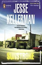 Sunstroke by Jesse Kellerman Paperback Book