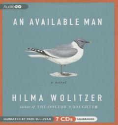 An Available Man by Hilma Wolitzer Paperback Book