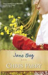 June Bug by Chris Fabry Paperback Book