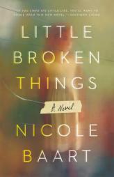 Little Broken Things by Nicole Baart Paperback Book