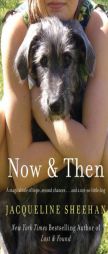 Now & Then by Jacqueline Sheehan Paperback Book