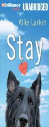 Stay by Allie Larkin Paperback Book