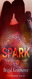 Spark by Brigid Kemmerer Paperback Book