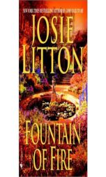 Fountain of Dreams (Get Connected Romances) by Josie Litton Paperback Book