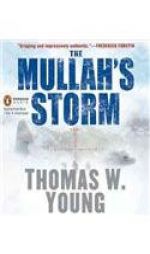 The Mullah's Storm by Thomas H. Young Paperback Book